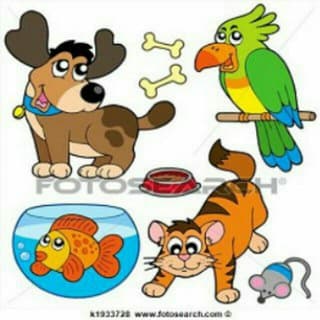 Foto profilo di amicianimali 🐶