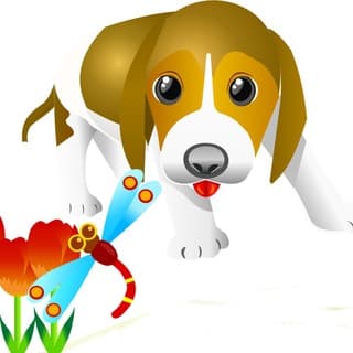 Foto profilo di AmicoDOG