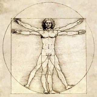 Foto profilo di Anatomia