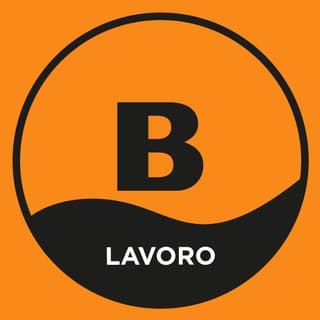 Foto profilo di LAVORO Bakeca: Acquisti - Logistica - Trasporti