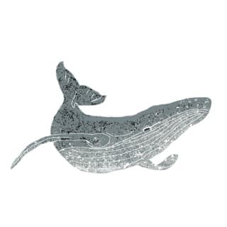 Foto profilo di Balene in volo