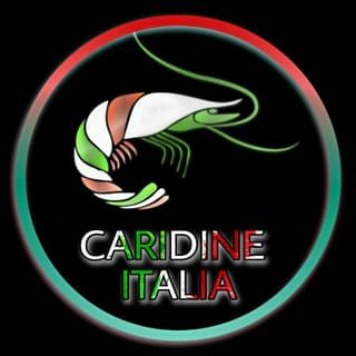 Foto profilo di Caridine Italia