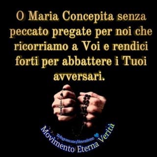 Foto profilo di ️ 💠 Movimento Eterna Verità 💠 M. E. V. 💠