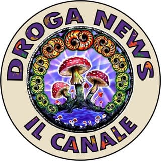 Foto profilo di Droga News