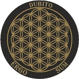 Foto profilo di 📿༺DUBITO ERGO SUM༻🧘🏻