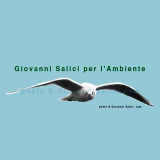 Foto profilo di Giovanni Salici per l'Ambiente 🦢