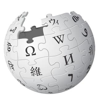 Foto profilo di Wikipedia in italiano