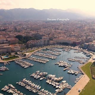 Foto profilo di Palermo news
