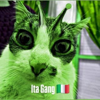 Foto profilo di 𝑰𝒕𝒂 𝑮𝒂𝒏𝒈 🇮🇹