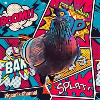 Foto profilo di Pigeon's channel