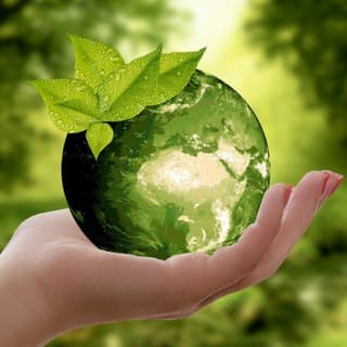 Foto profilo di Ecologia news
