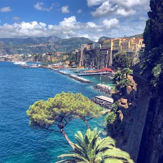 Foto profilo di Sorrento