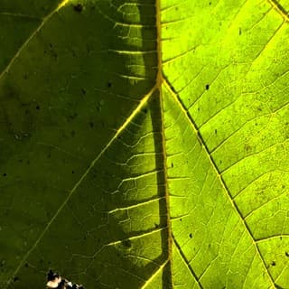 Foto profilo di 101 Storie Zen e dintorni