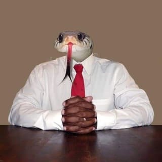 Foto profilo di Sturm und Meme