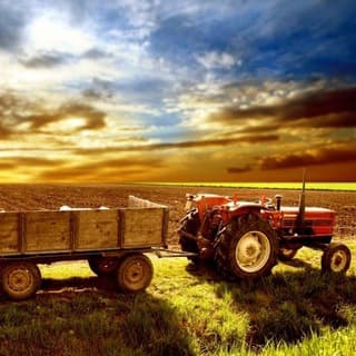 Foto profilo di Agricoltura e Allevamento🌳