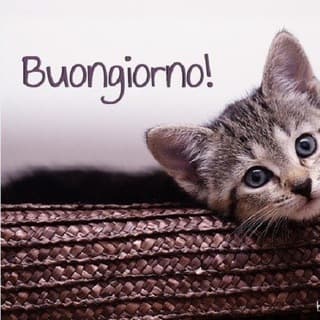 Foto profilo di Buon giorno