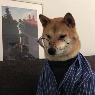 Foto profilo di cαηı ƒαηησ cσsє