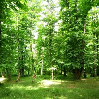 Foto profilo di Sinergia