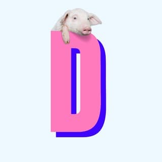Foto profilo di Diritti Sessuali