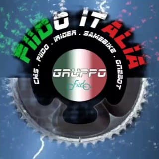 Foto profilo di FIIDO ITALIA BICI DOHIKER ONEBOT CMS-F16 SAMEBIKE HIMO SHENGHMILO ENGWE EP RICHBIT LANKE ADO CMACEWHEEL FATBIKE MODIFICHE E-BIKE