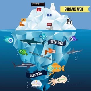 Foto profilo di HAREM DARK WEB ITA