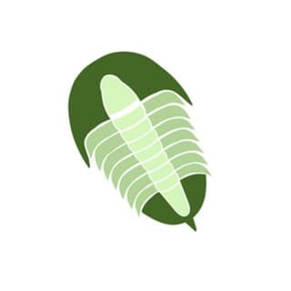 Foto profilo di Il Trilobite legge