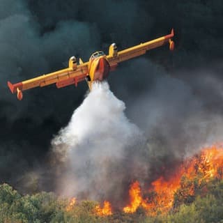 Foto profilo di Incendi Boschivi - AIB