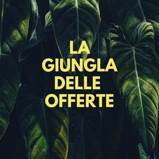Foto profilo di La Giungla Delle Offerte