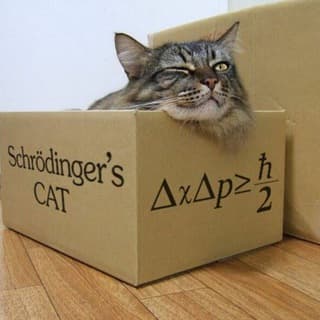 Foto profilo di La scatola di Schrödinger