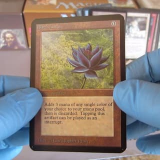 Foto profilo di Magic the Gathering - Gioca - Italia 🇮🇹 - livegaming.it