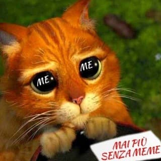 Foto profilo di Mai più senza Meme