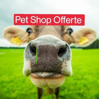 Foto profilo di Pet Shop Offerte Animali