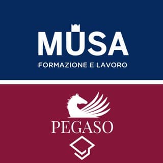 Foto profilo di Polo Didattico Università Pegaso – Musa Formazione