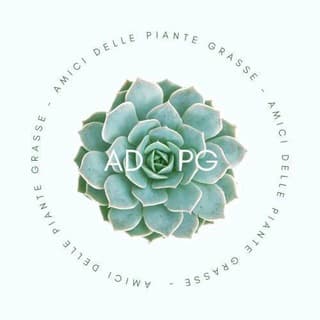 Foto profilo di PIANTE GRASSE 🌵 & i suoi amici