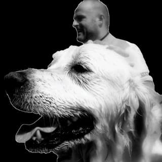 Foto profilo di Parliamo di cani e dintorni - Pillole di cinofilia