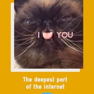 Foto profilo di The Deepest Part Of Telegram