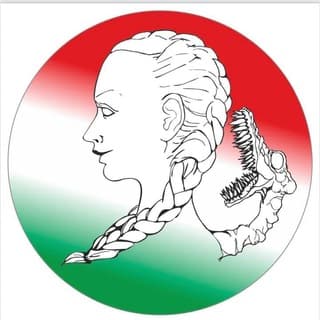Foto profilo di Tutela Costituzionale