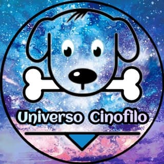 Foto profilo di Uᥒιvᥱrso Cιᥒofιᥣo 🐶